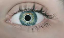 Featured image of post چگونه از چشمان خود در برابر کامپیوتر مراقبت کنیم؟